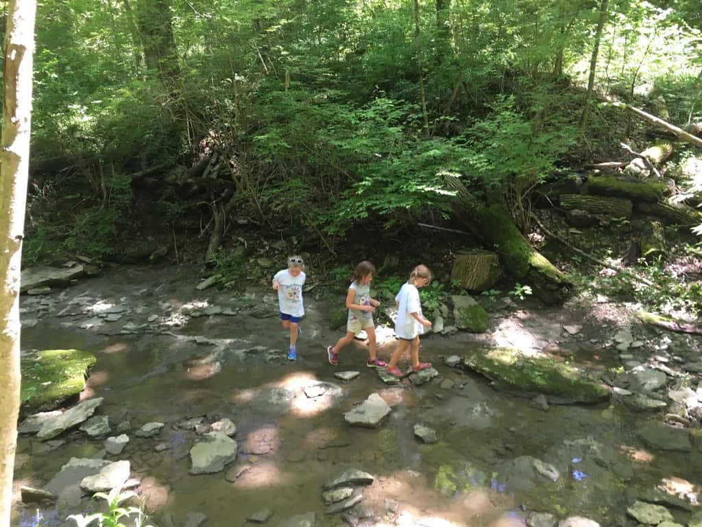 I am so proud of these Daisy Girl Scouts (and sisters)! They all did such a great job hiking and creeking today at French Park! And, they had a really good time too!