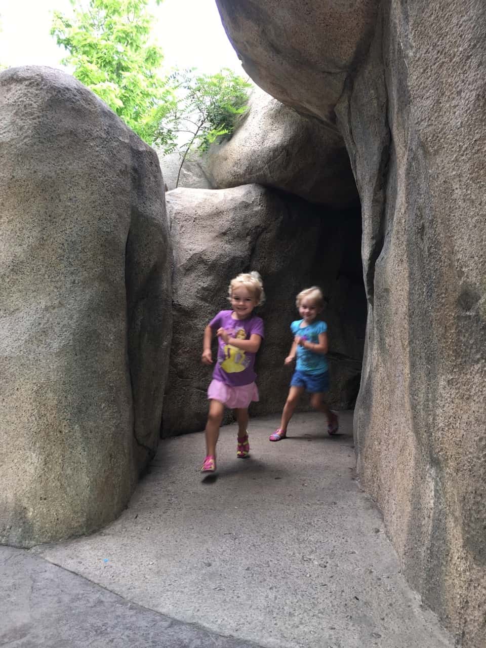 After dropping Abby off at camp this morning, we had our own full day of fun at the zoo! The highlight for me (proud mama moment?) was watching Josie AND Gwen participate in Blakely’s Barnyard Bonanza (aka the goat show).