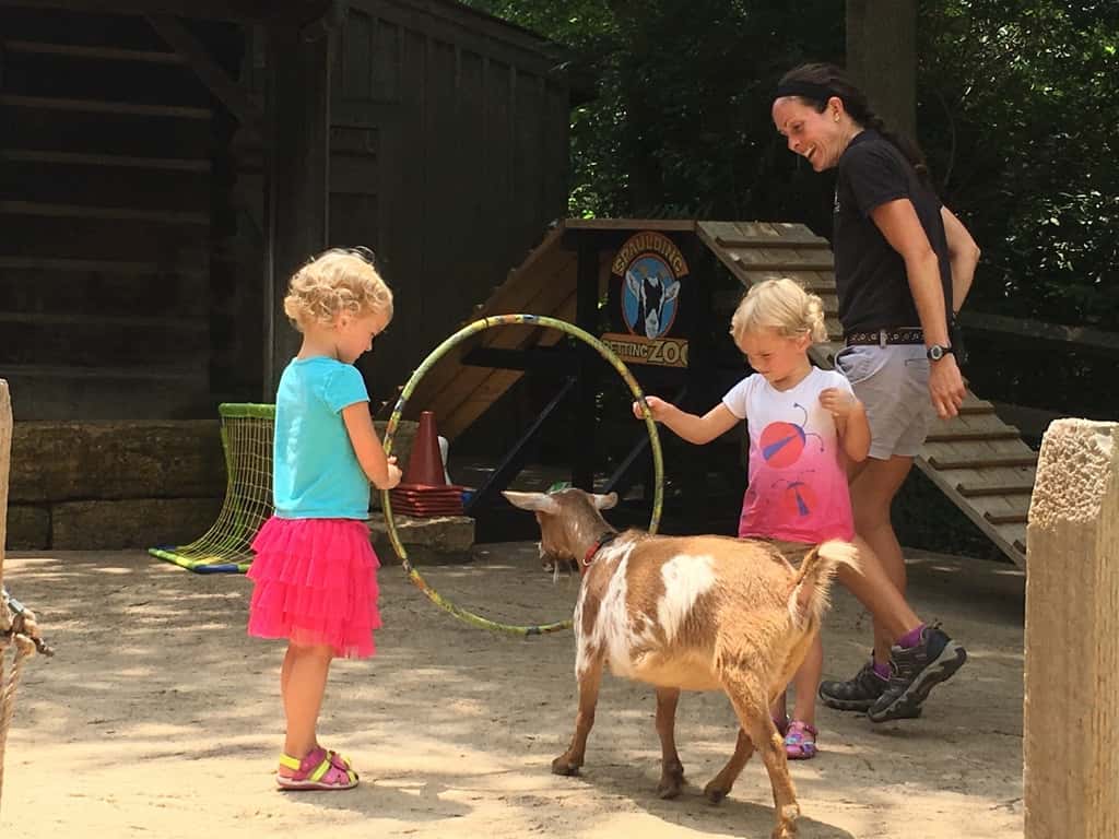 Sharks! Princesses! Goats! And Auntie Em was with us too. What a fun day!