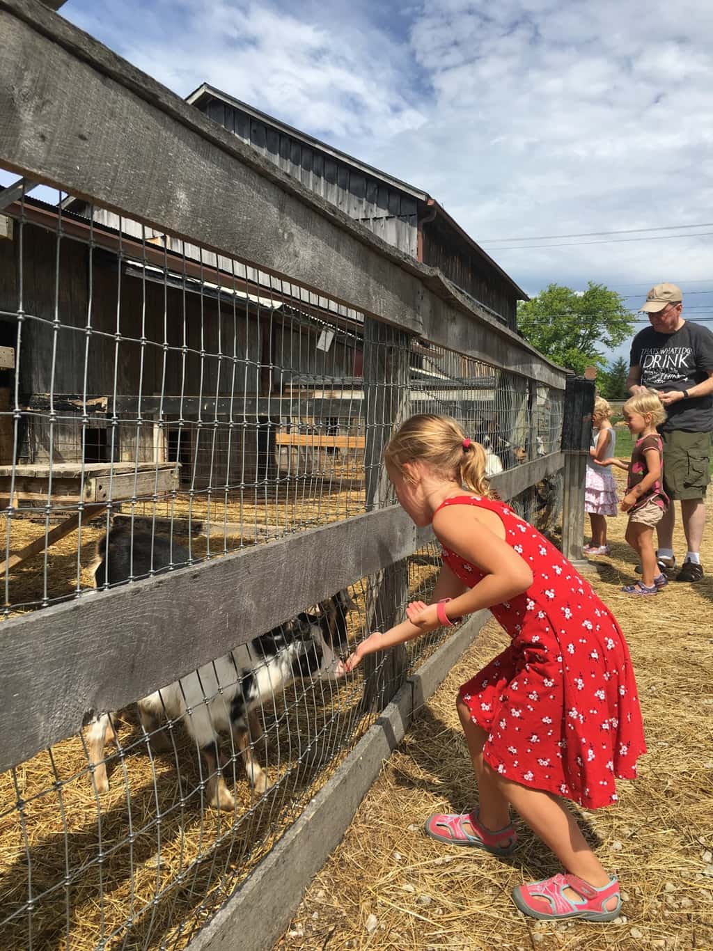 The girls hoped to pick blueberries, but had to settle for bouncing and goat feeding at Hidden Valley Fruit Farm.