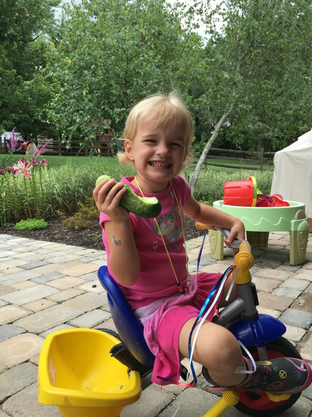 Delicious cucumbers! Fresh from the garden!