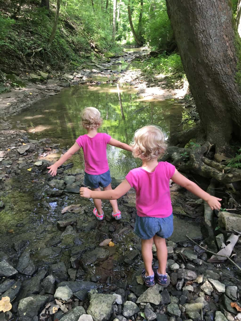 Gwen and Josie joined the other pixies at Girl Scout camp today.
