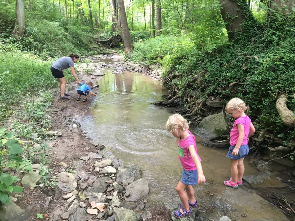 Gwen and Josie joined the other pixies at Girl Scout camp today.