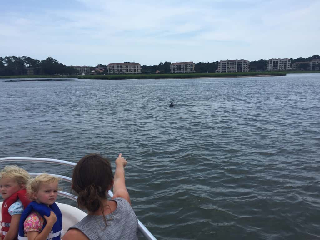 Vacation day 5: Dolphins and sharks were the highlights of our day! Mom and Tim joined us for a wonderful dolphin tour, and a surprise evacuation from the water at Coligny beach due to sharks!