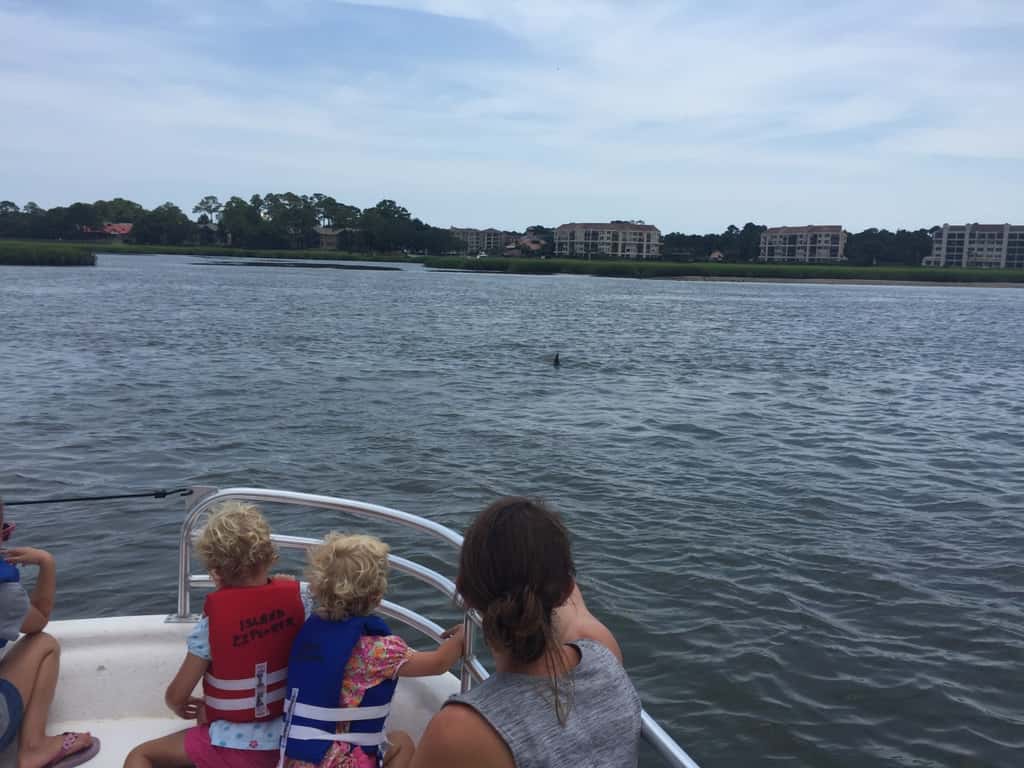 Vacation day 5: Dolphins and sharks were the highlights of our day! Mom and Tim joined us for a wonderful dolphin tour, and a surprise evacuation from the water at Coligny beach due to sharks!