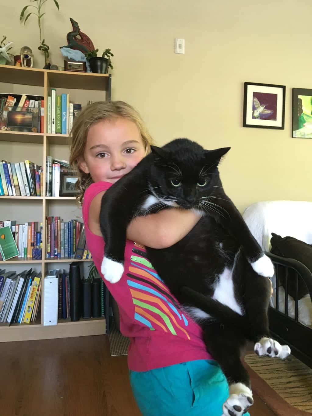 Vacation day 6: We swam, said our good-byes to Auntie Em and kitties, drove back to Asheville, swam some more, and started to feel ready to soon be home again.