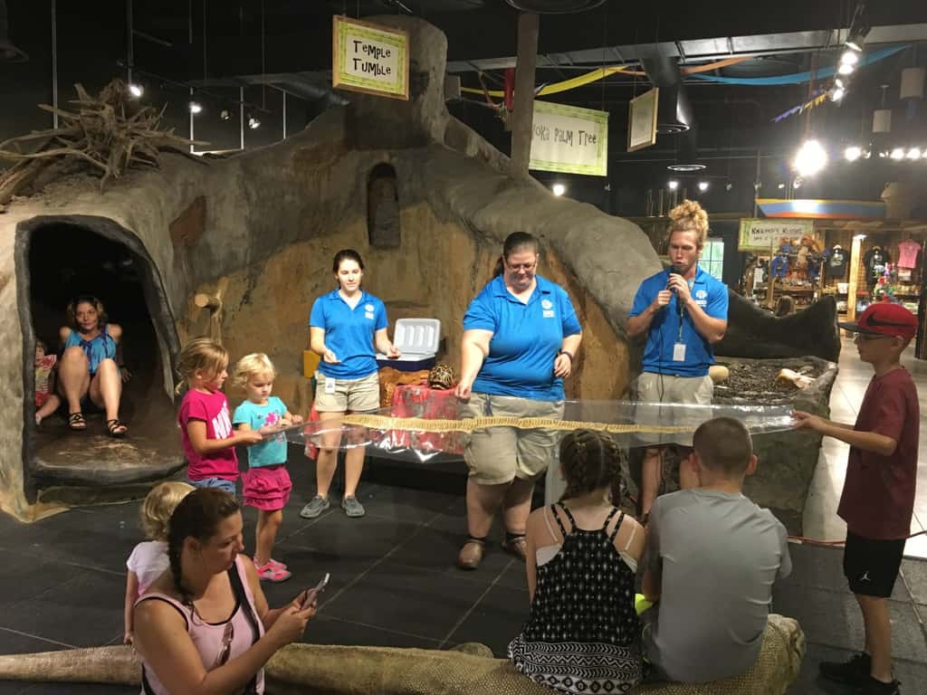 Vacation day 7: Instead of just driving straight home, we decided to use our reciprocal zoo benefits and visit the Knoxville Zoo.