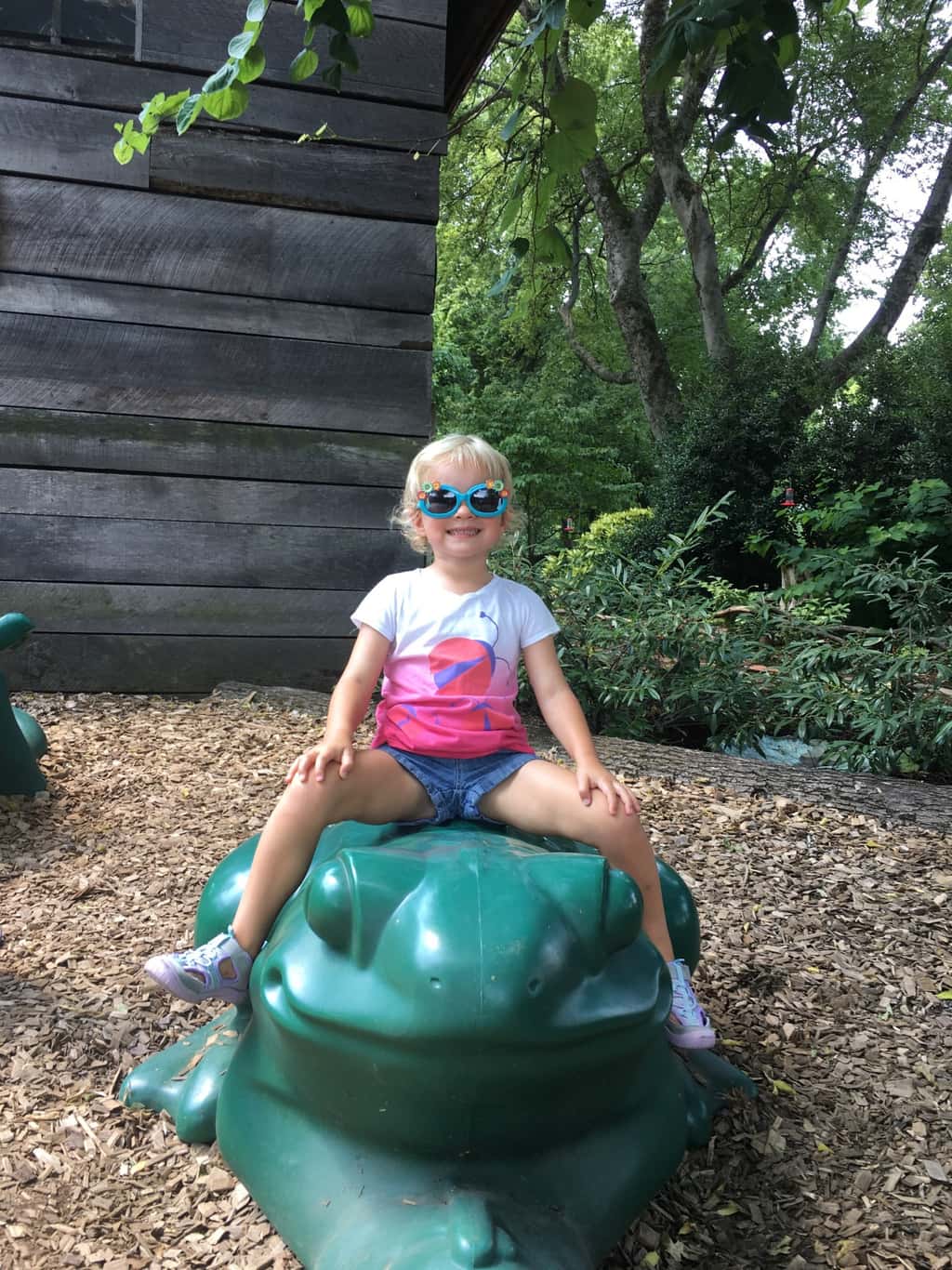 Vacation day 7: Instead of just driving straight home, we decided to use our reciprocal zoo benefits and visit the Knoxville Zoo.