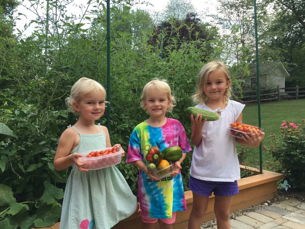 Best harvest so far!