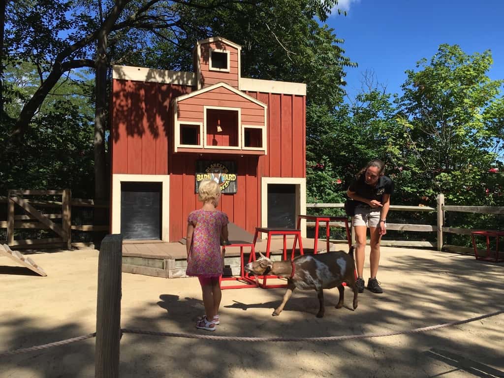 I thought it was cool enough today to visit the zoo. The girls thought it was hot enough to swim.