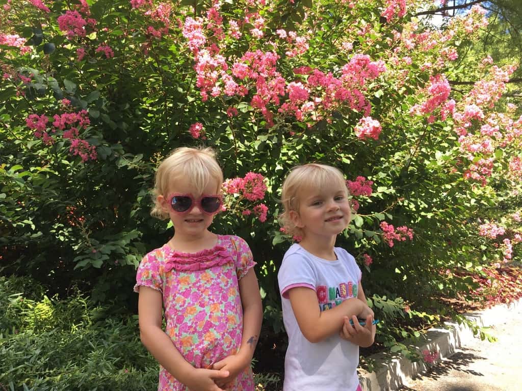 I thought it was cool enough today to visit the zoo. The girls thought it was hot enough to swim.