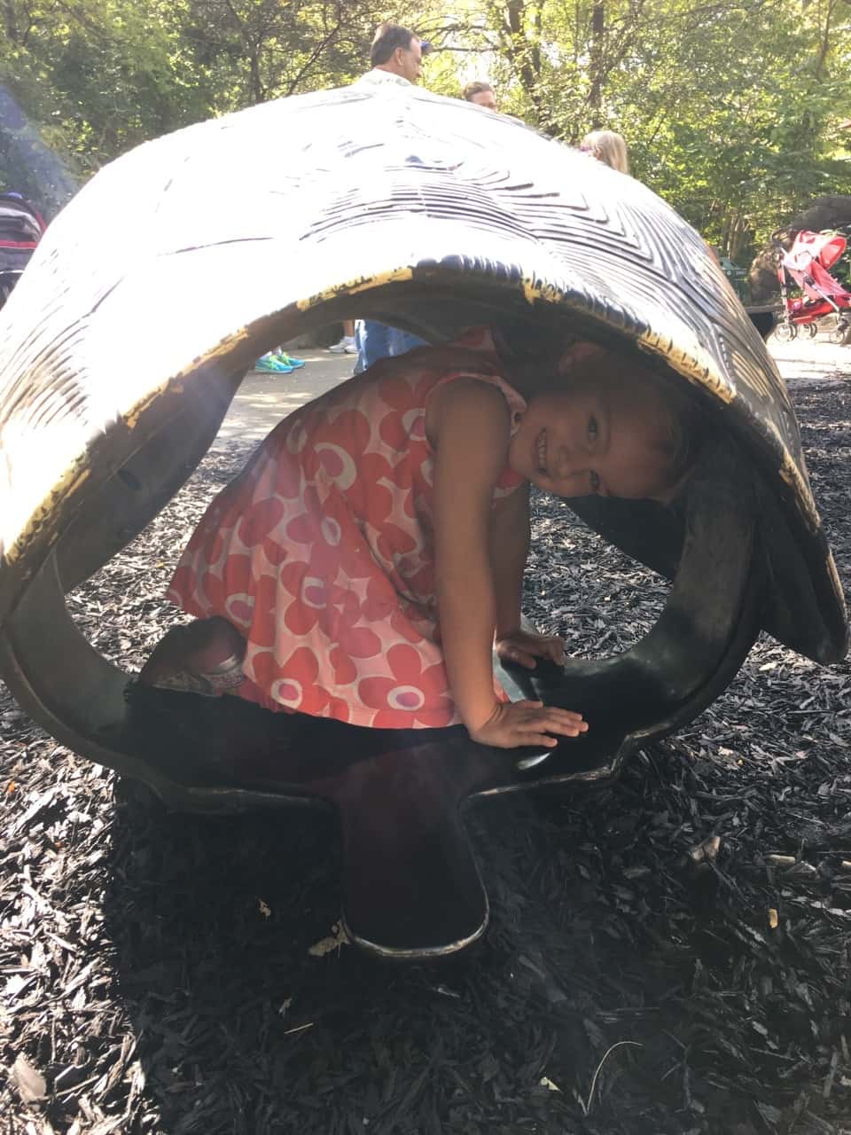 Our first trip to the zoo with Timmy!