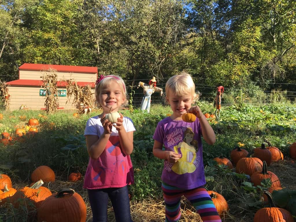 What a fun day with friends at Sunrock Farm! The girls got to take a hayride to a pumpkin patch, milk a goat, hold a baby chick, feed goats, gather eggs, pet a donkey, a miniature horse, a cow, a farm kitty, and more!