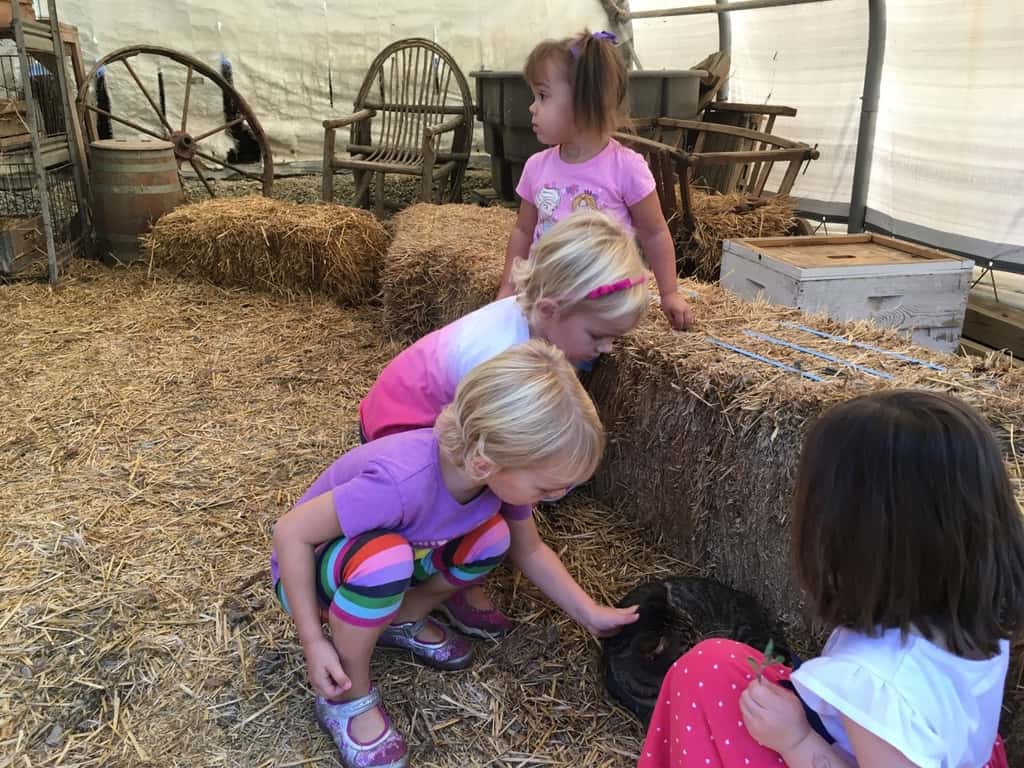 What a fun day with friends at Sunrock Farm! The girls got to take a hayride to a pumpkin patch, milk a goat, hold a baby chick, feed goats, gather eggs, pet a donkey, a miniature horse, a cow, a farm kitty, and more!