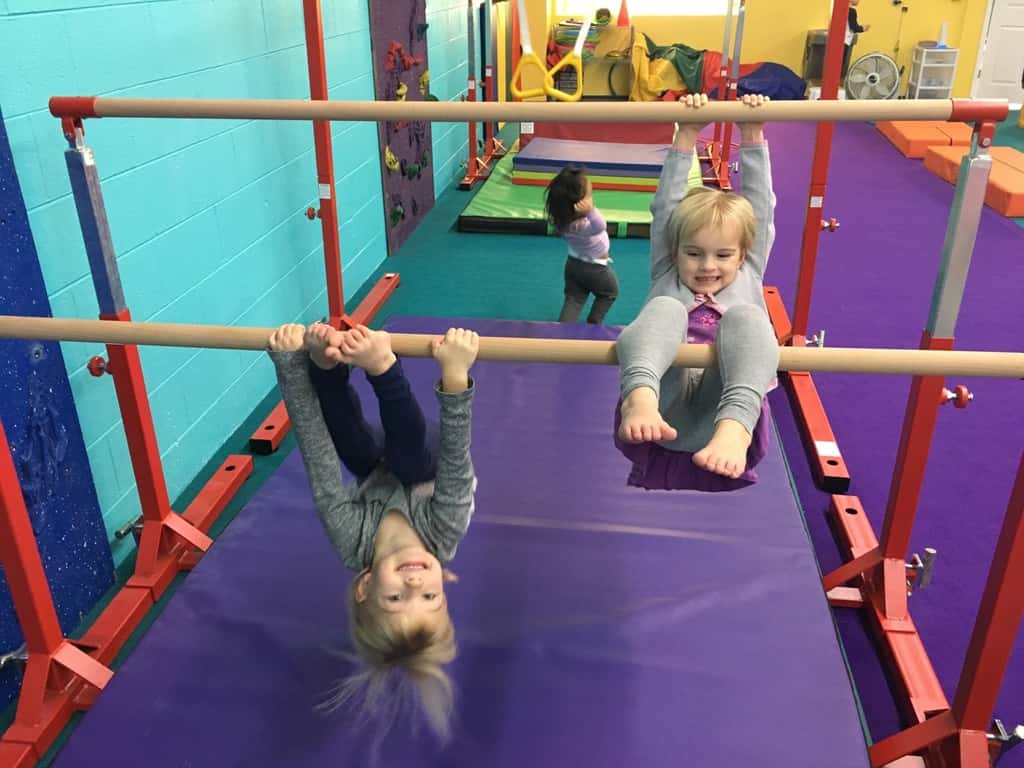 Daredevils in the morning, and a cuddle-bug with her many pals at night.