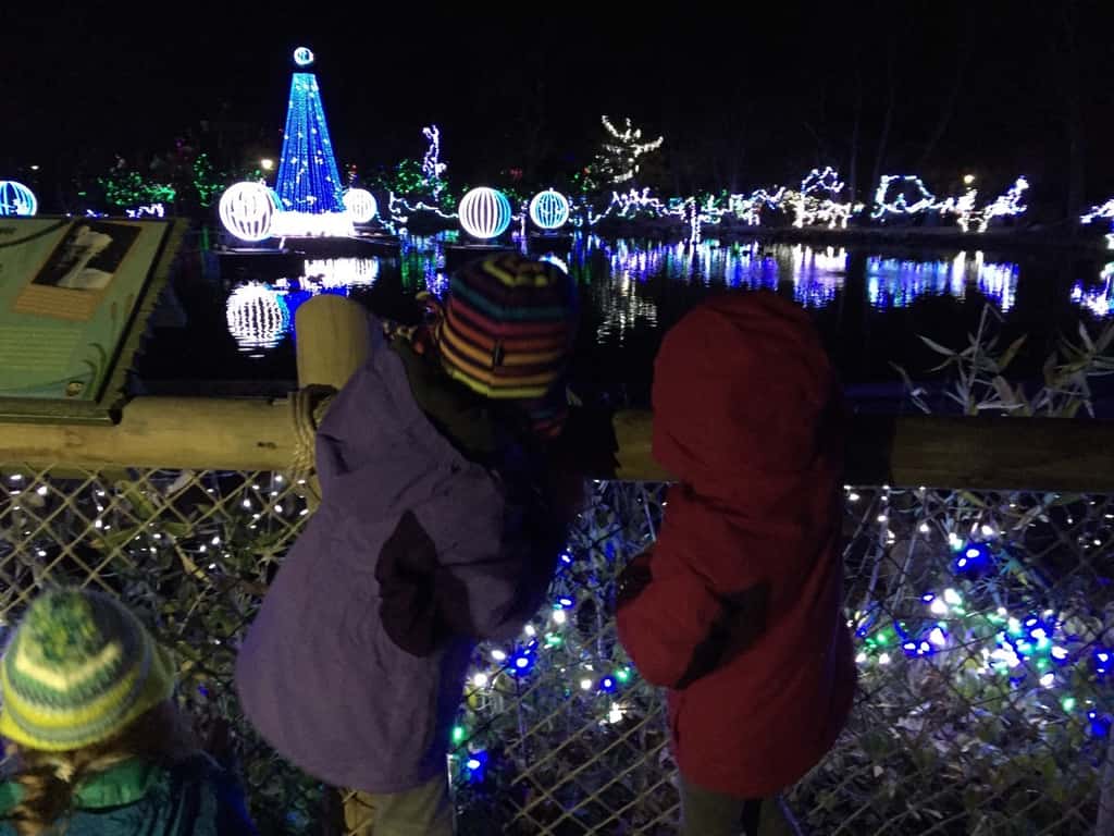 We had a great time walking in a winter wonderland!