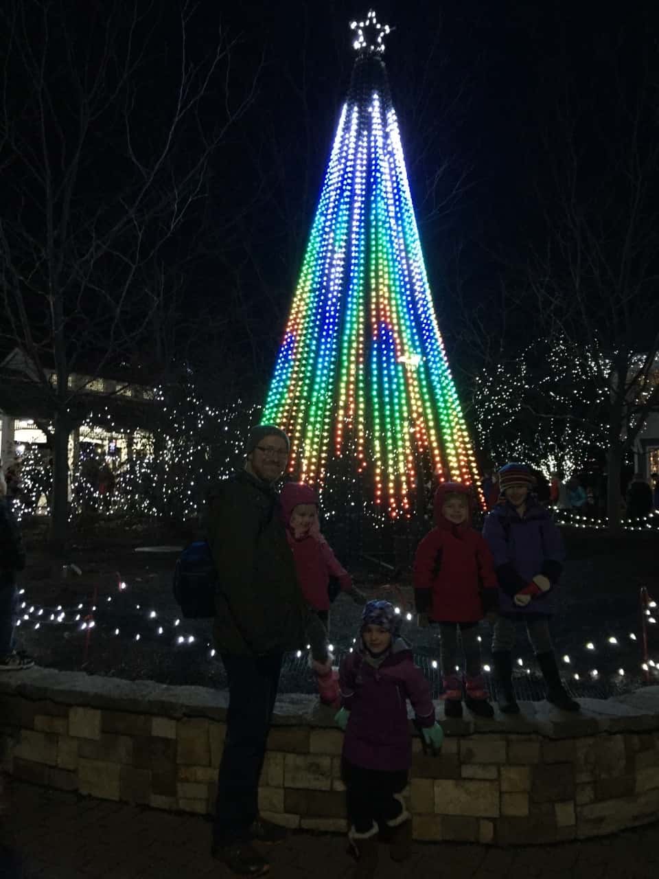 We had a great time walking in a winter wonderland!