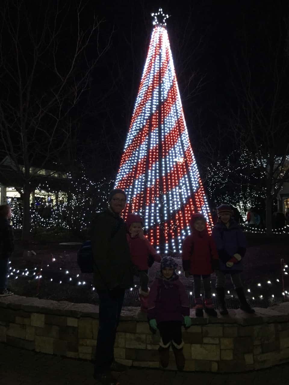 We had a great time walking in a winter wonderland!