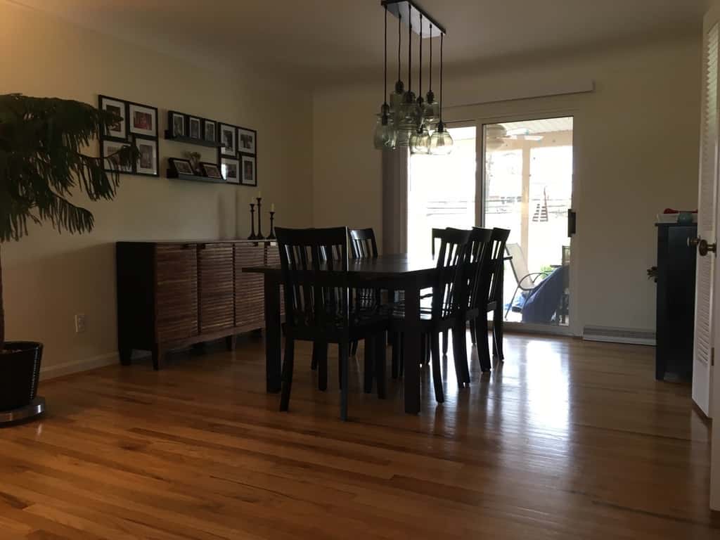 Our annual birthday and anniversary gift tradition continues with two new additions to our house!