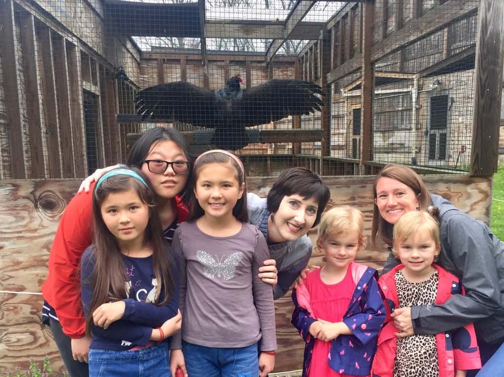 After touring Raptor Inc. yesterday with another set of identical twins, Gwen and Josie spent this morning playing a game called “nocturnal fraternal” twins with their dolls.