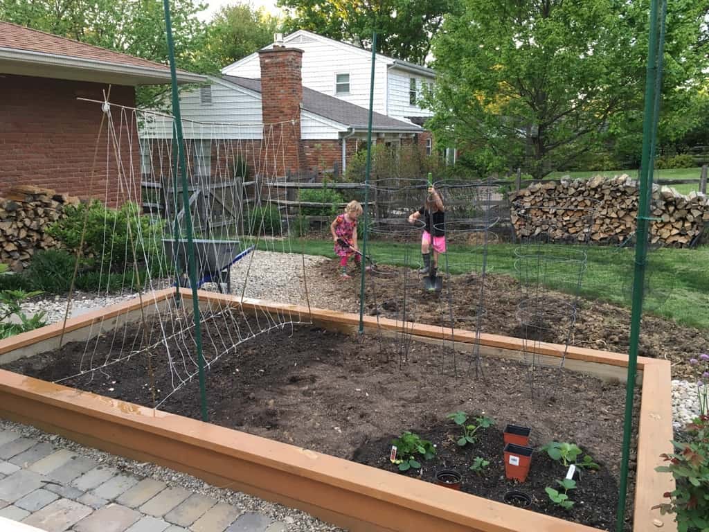 Grow little seeds! Grow! So far, we’ve planted snap peas, lettuce, and strawberries!