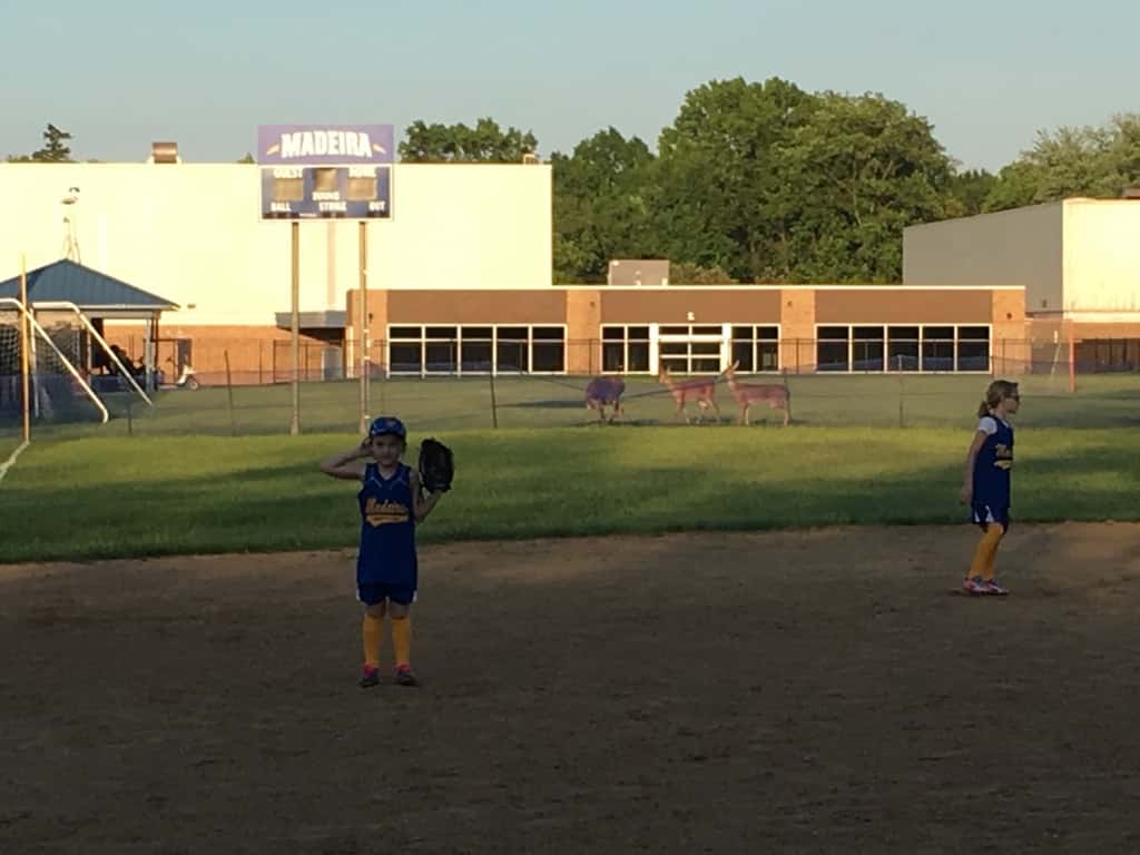 We had some unusual fans visit Abby’s softball game.