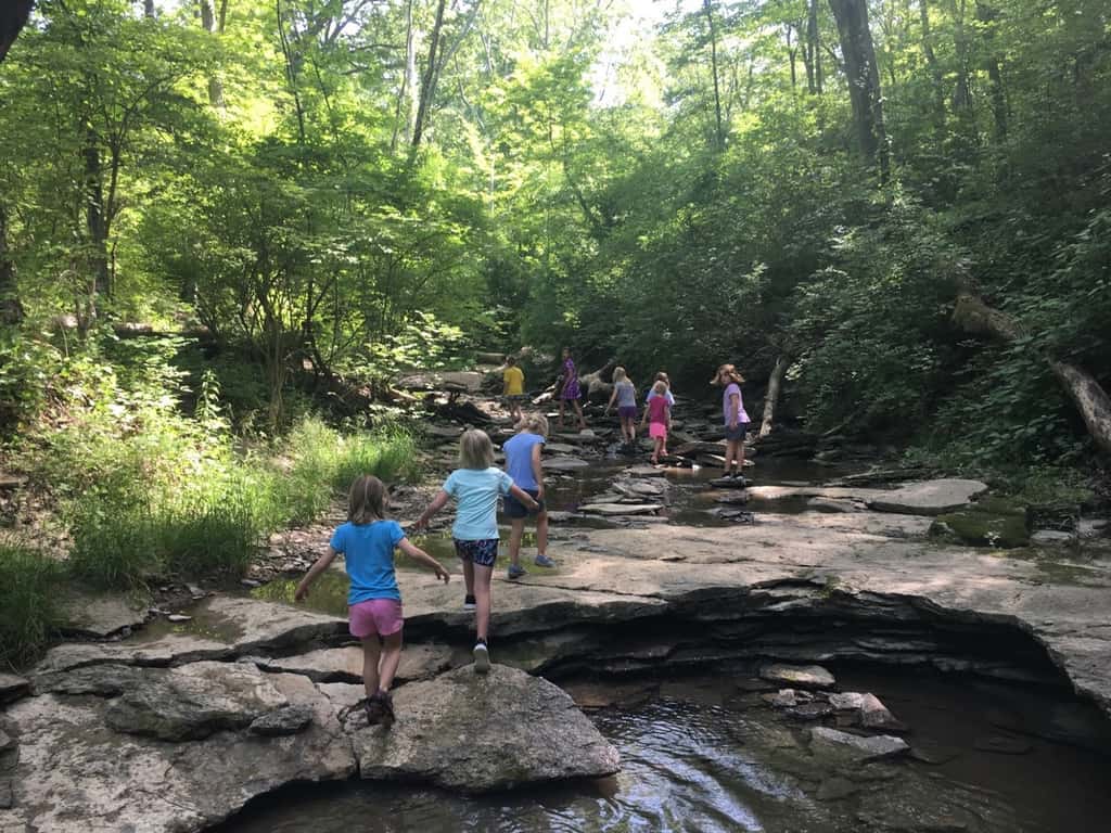 We took an almost two mile hike with some of our Girl Scout friends at French Park today. Afterwards we enjoyed a picnic lunch and the girls cooled off by playing drip drip drench.