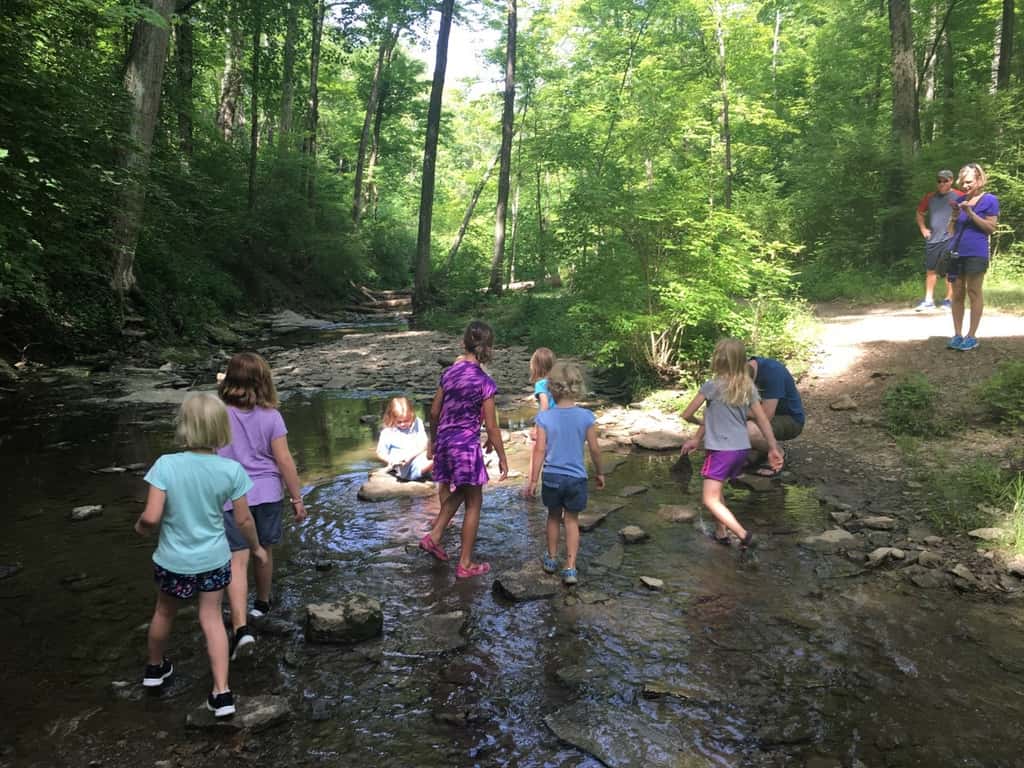 We took an almost two mile hike with some of our Girl Scout friends at French Park today. Afterwards we enjoyed a picnic lunch and the girls cooled off by playing drip drip drench.