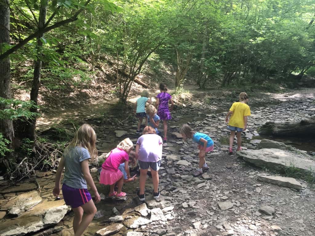 We took an almost two mile hike with some of our Girl Scout friends at French Park today. Afterwards we enjoyed a picnic lunch and the girls cooled off by playing drip drip drench.
