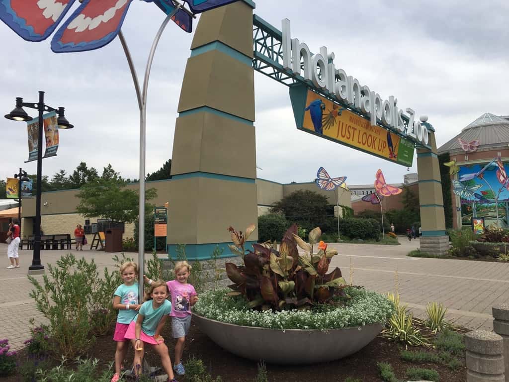 We had such an amazing day at the very kid-friendly and fun Indianapolis Zoo. The girls especially loved feeding the parakeets and cockatiels, holding butterflies, and riding the Skyline. John and I really liked the dolphin show, and the incredible orangutan exhibit. The girls were also giddy with excitement about staying the night in a hotel. I thought staying and eating dinner on the canal was pretty special too.