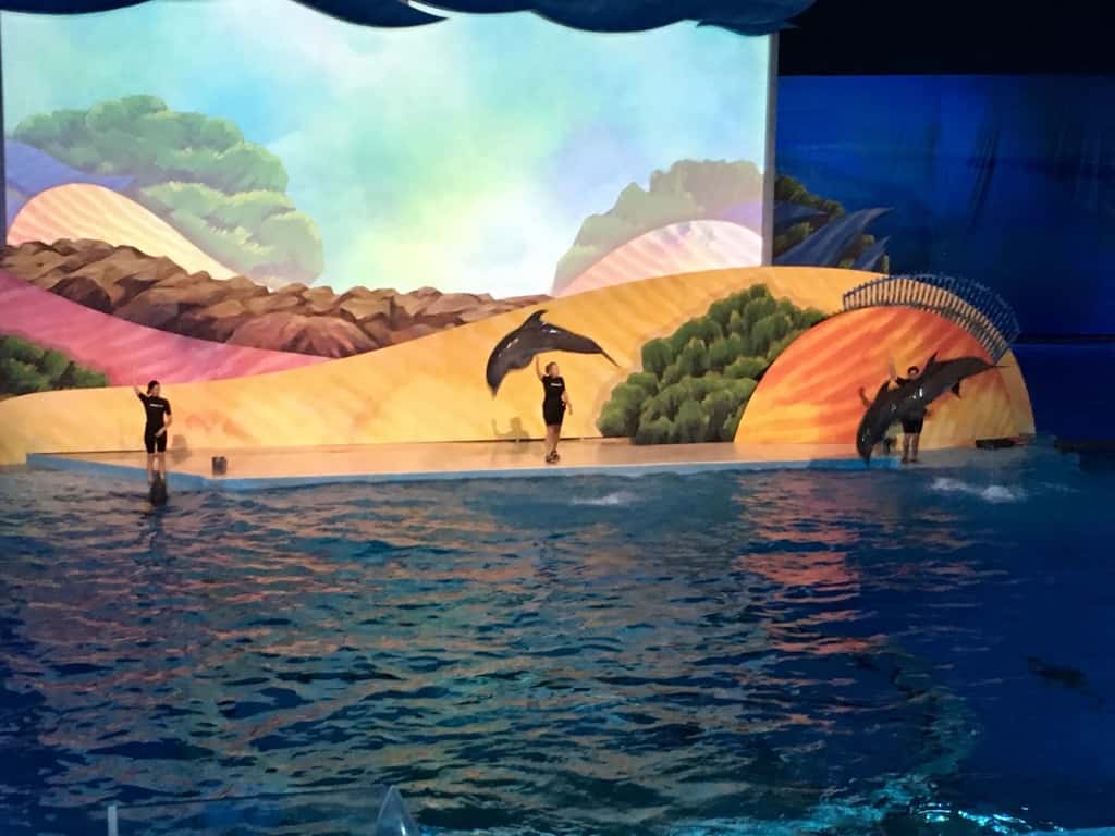 We had such an amazing day at the very kid-friendly and fun Indianapolis Zoo. The girls especially loved feeding the parakeets and cockatiels, holding butterflies, and riding the Skyline. John and I really liked the dolphin show, and the incredible orangutan exhibit. The girls were also giddy with excitement about staying the night in a hotel. I thought staying and eating dinner on the canal was pretty special too.