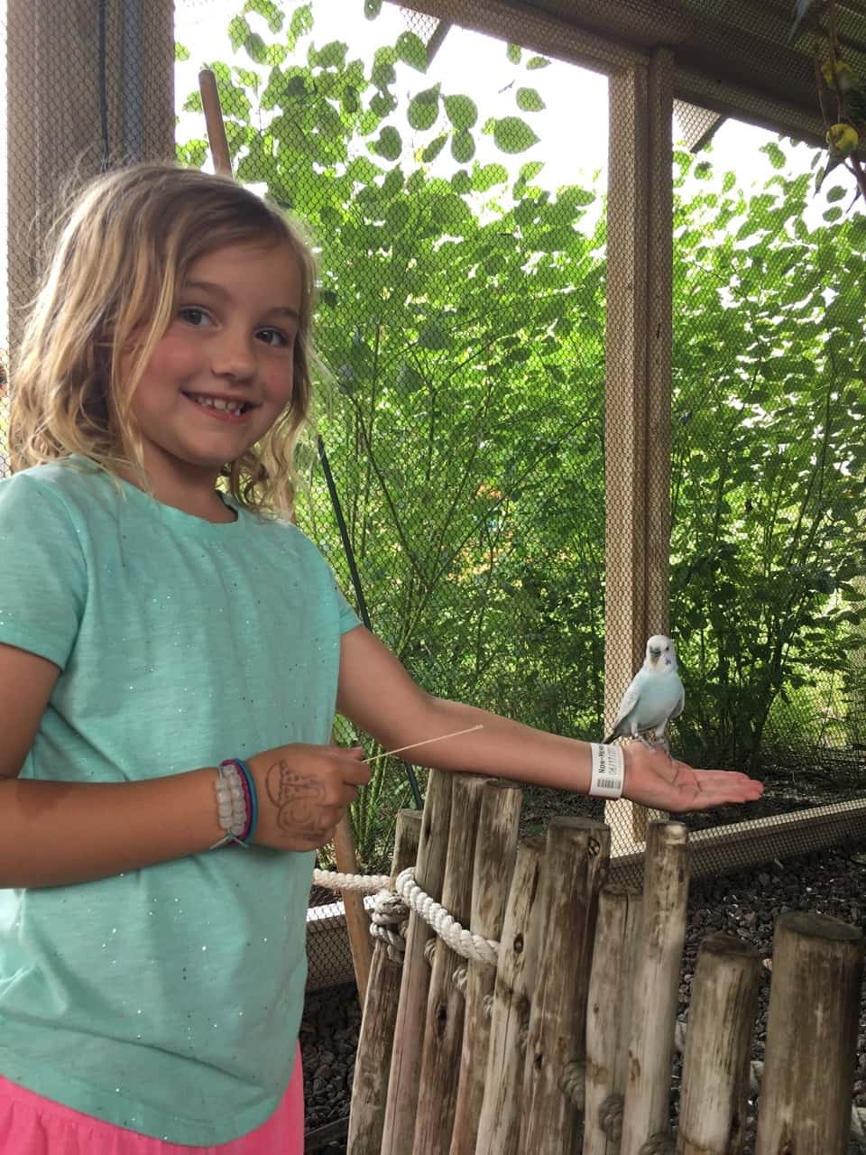 We had such an amazing day at the very kid-friendly and fun Indianapolis Zoo. The girls especially loved feeding the parakeets and cockatiels, holding butterflies, and riding the Skyline. John and I really liked the dolphin show, and the incredible orangutan exhibit. The girls were also giddy with excitement about staying the night in a hotel. I thought staying and eating dinner on the canal was pretty special too.