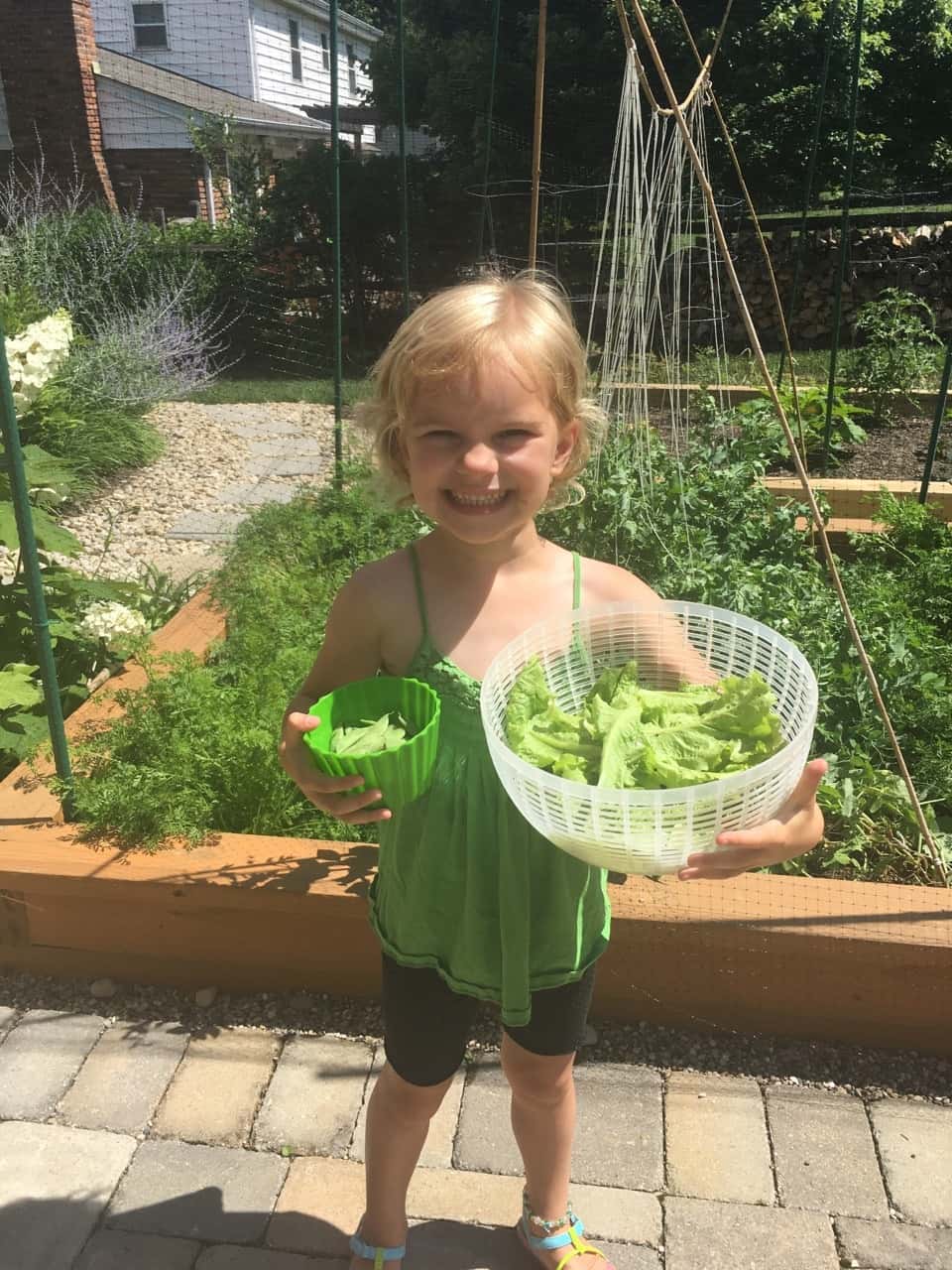 Broccoli! Snap peas! Lettuce! Carrots! (And strawberries, but they ate those before I could take a picture.)