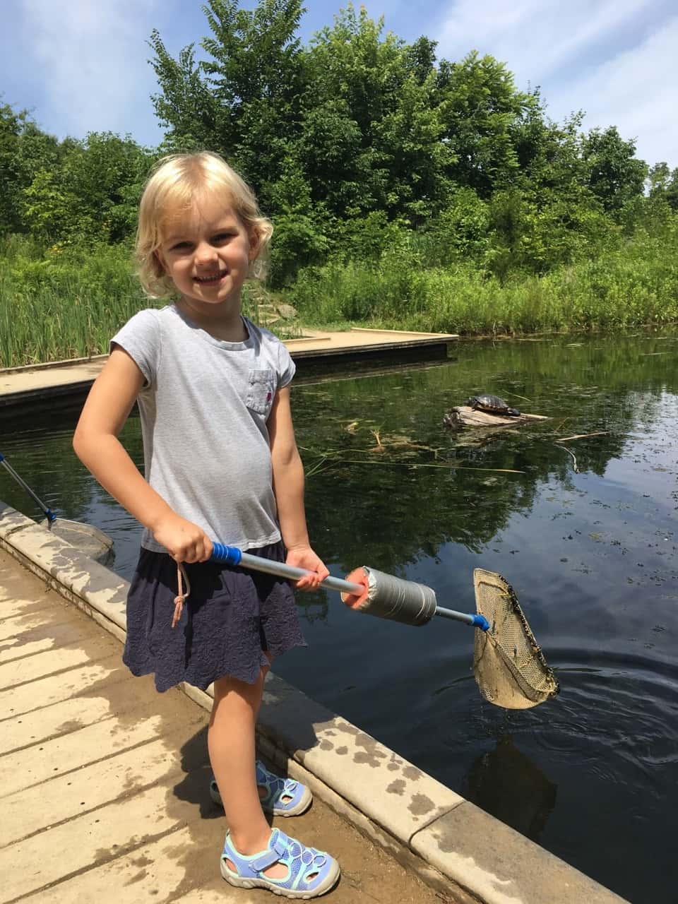 While Abby had lots of fun with her friends at Girl Scout camp, Gwen, Josie, and I had our own outdoor adventure at the Cincinnati Nature Center. They even got to hold some tadpoles and fish thanks to the netting skills of some nice big girls.
