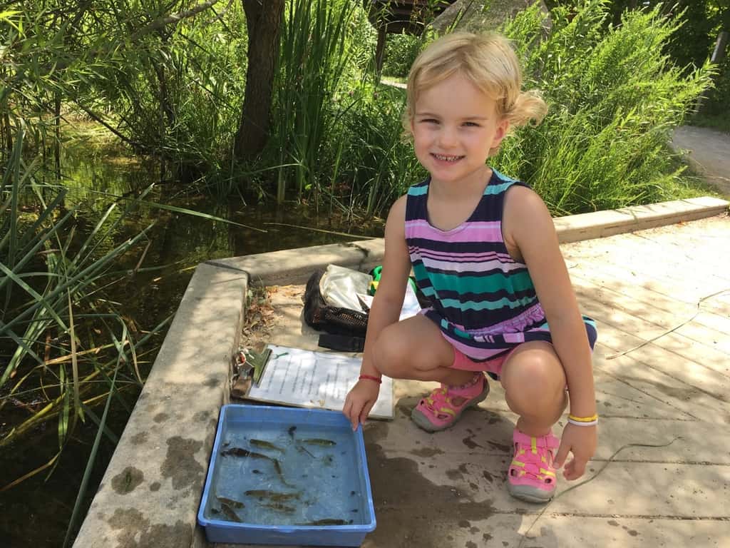 While Abby had lots of fun with her friends at Girl Scout camp, Gwen, Josie, and I had our own outdoor adventure at the Cincinnati Nature Center. They even got to hold some tadpoles and fish thanks to the netting skills of some nice big girls.