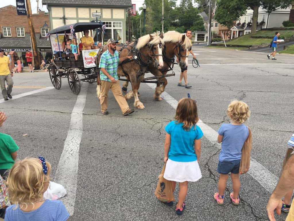 July 3rd fun: Blue Ash Nature Park in the afternoon , and then the Madeira Independence Day parade and fireworks that evening.