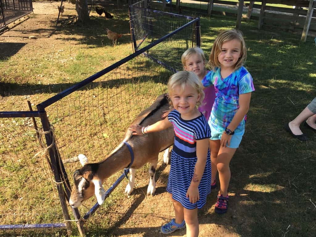 We had a great day with the Koesters at Parky’s Farm!