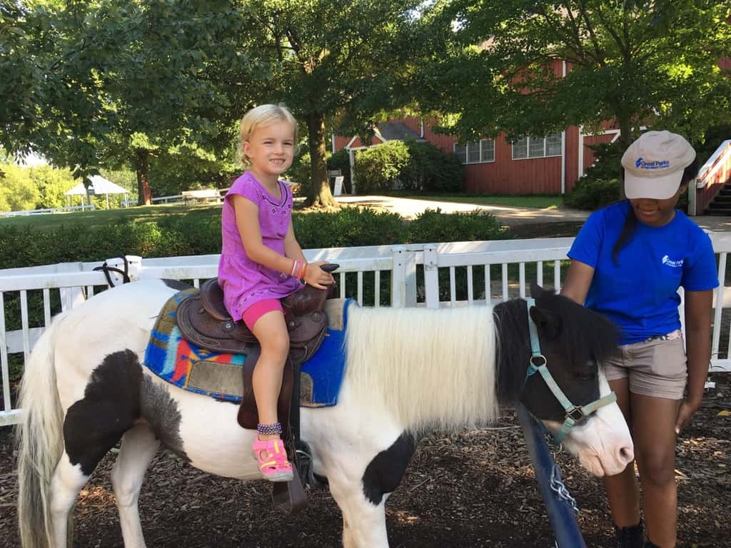 We had a great day with the Koesters at Parky’s Farm!