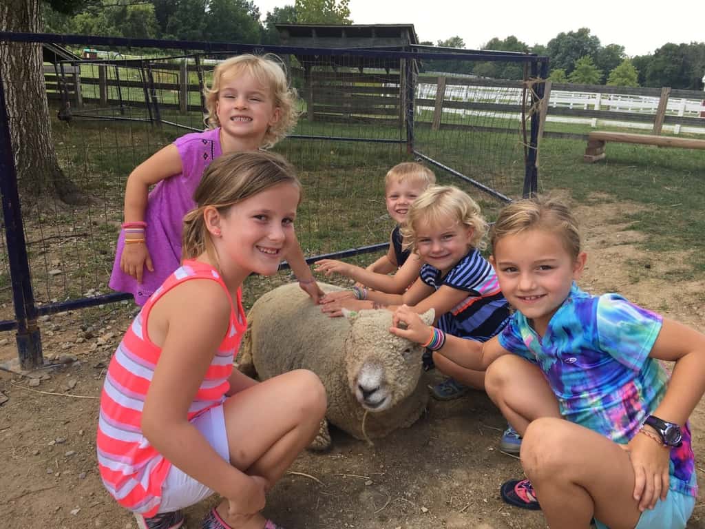 We had a great day with the Koesters at Parky’s Farm!