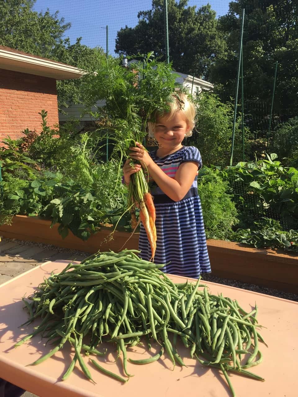 Carrots, and even more green beans!