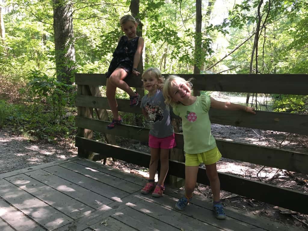 Our past few days included preschool playgroup, a family hike at the Cincinnati Nature Center, and the first dance class of the season.