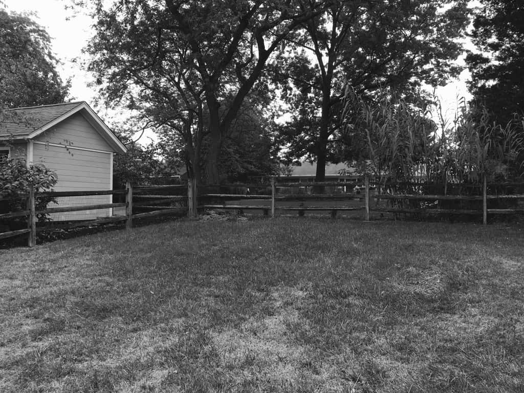 Now that we have finished painting and moved in the lawn equipment, we can finally say - it’s done! We’re so happy with how our shed turned out!