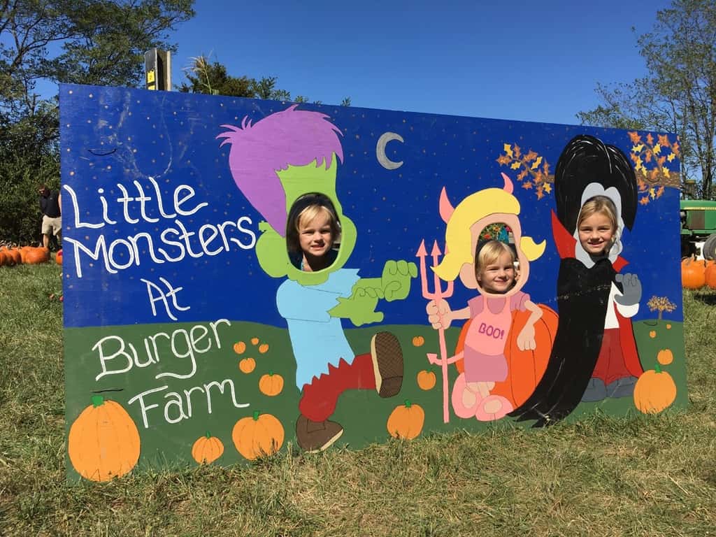 We visited two fall festivals at farms this weekend! Although we had fun at both, we all agreed that Shaw Farm is far superior to Burger Farm.