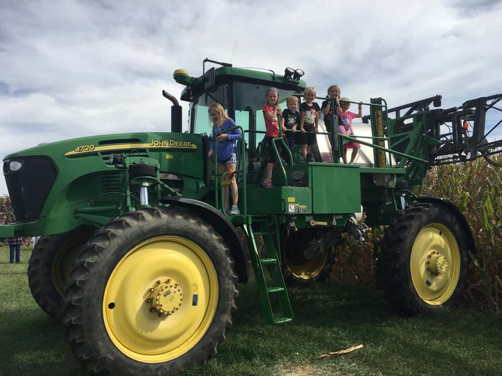We visited two fall festivals at farms this weekend! Although we had fun at both, we all agreed that Shaw Farm is far superior to Burger Farm.