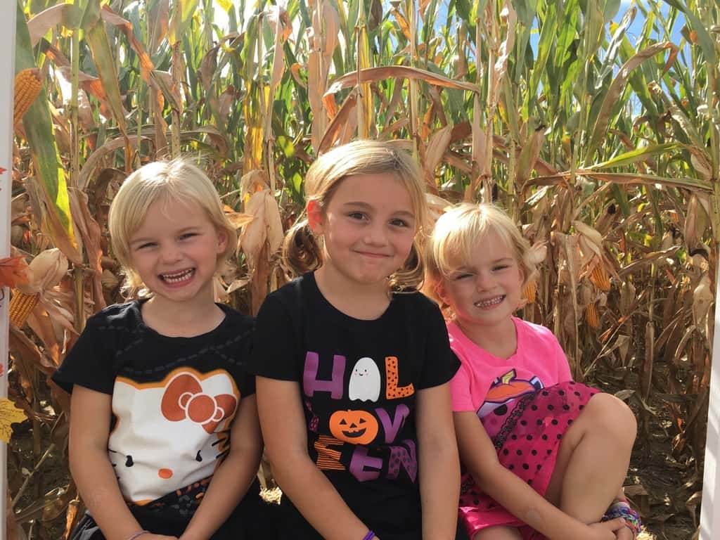 We visited two fall festivals at farms this weekend! Although we had fun at both, we all agreed that Shaw Farm is far superior to Burger Farm.