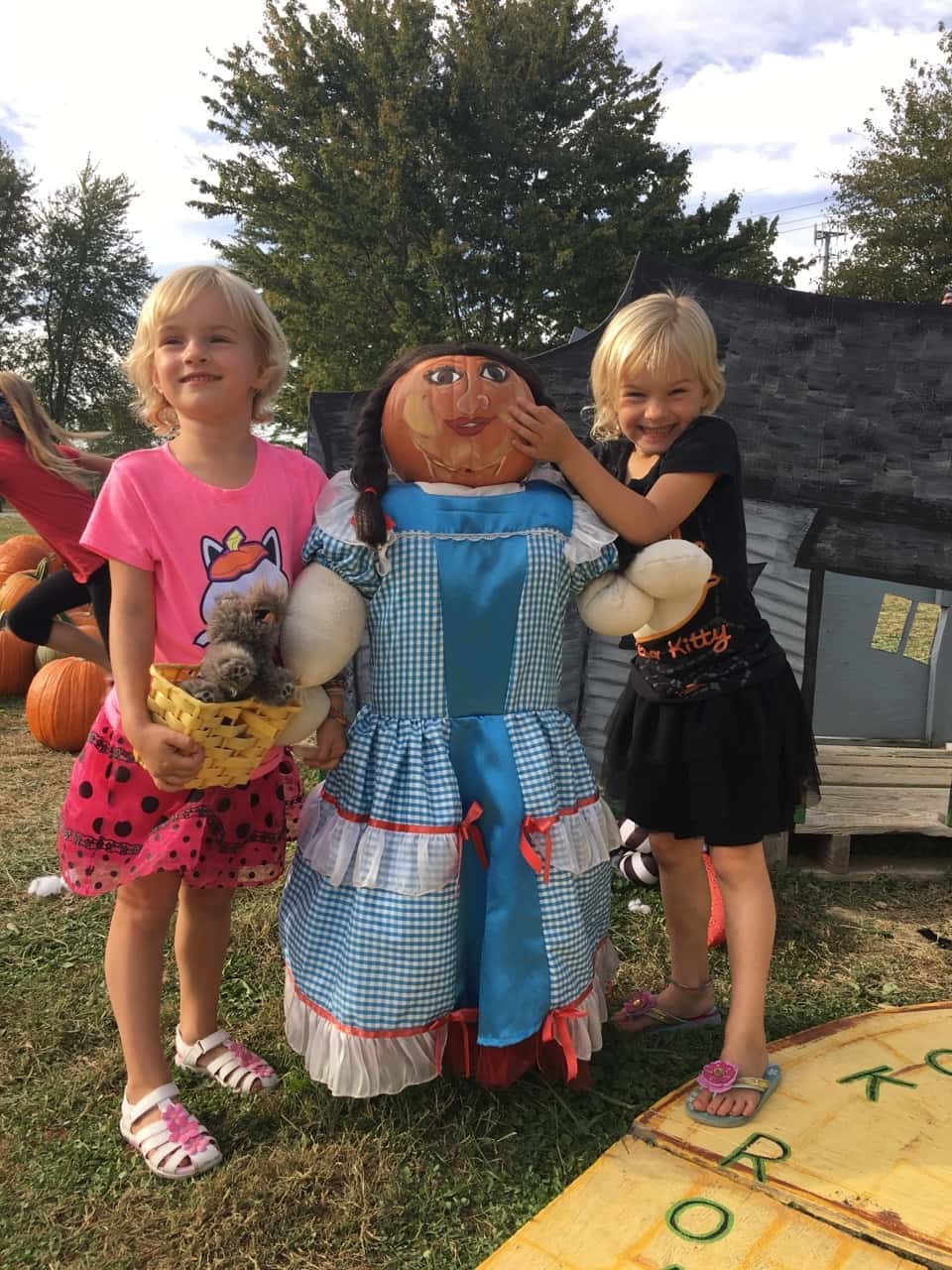 We visited two fall festivals at farms this weekend! Although we had fun at both, we all agreed that Shaw Farm is far superior to Burger Farm.