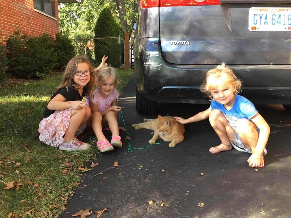 Another friend-filled, fun day. Abby got to walk home from school today. Not to our home, but to a fun play date at the Sammut’s house. Wesley Marmalade the cat was a hit. The “laser maze” was too.