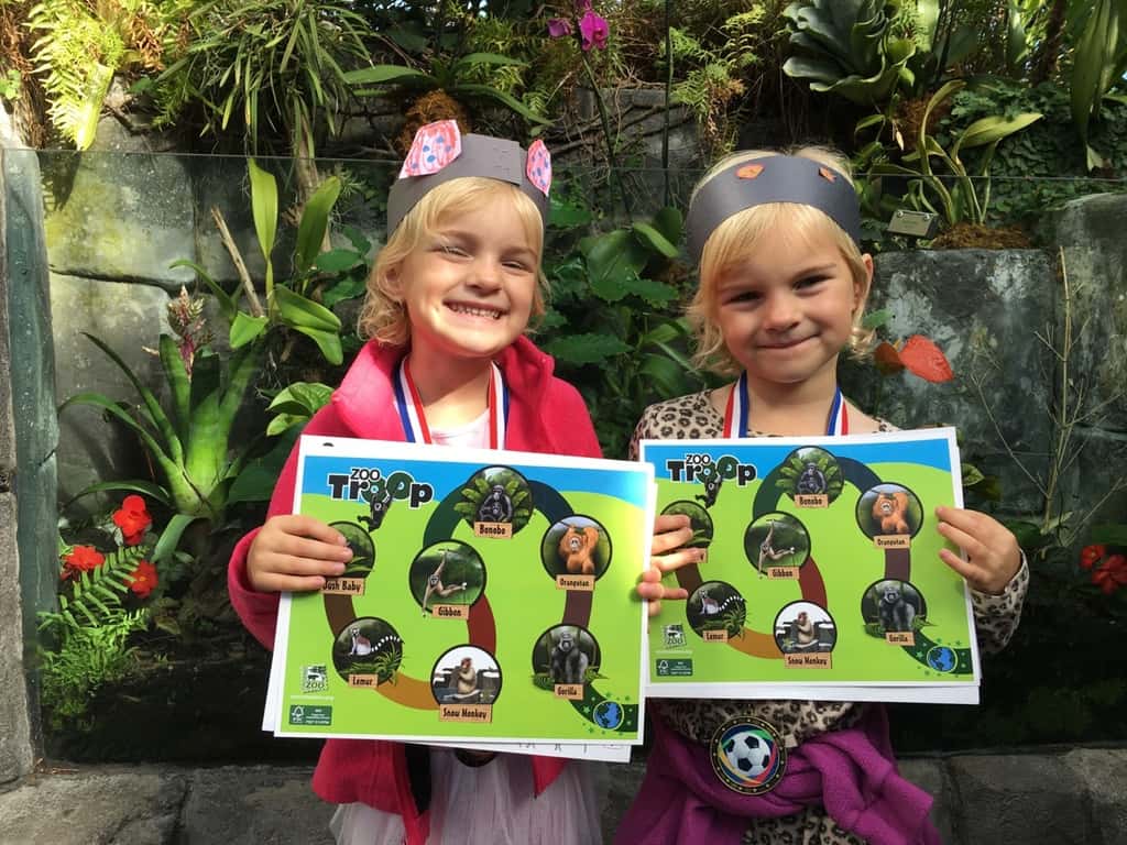 Gwen and Josie loved their first Zoo Troop series, and are excited for the next one!