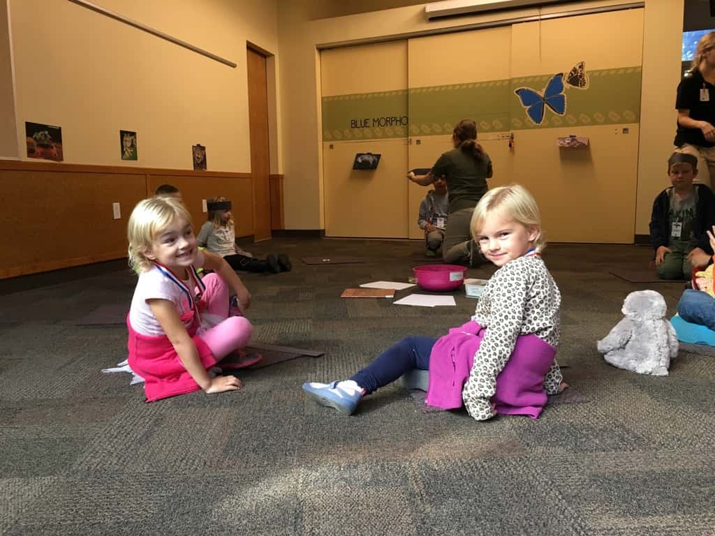 Gwen and Josie loved their first Zoo Troop series, and are excited for the next one!