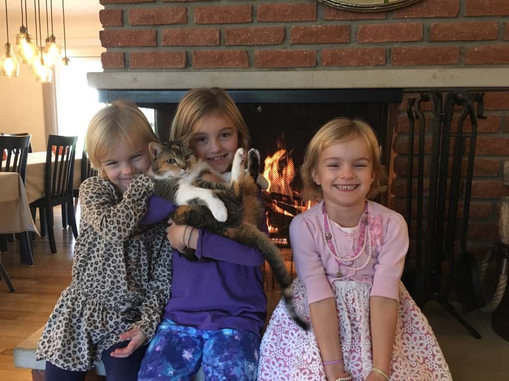 First fire of the season (on Thanksgiving)